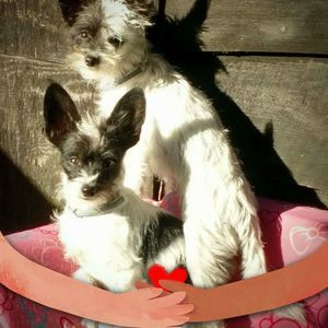 Meet your Posher, Deborah